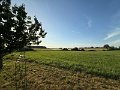 IMG-20250601-WA0010